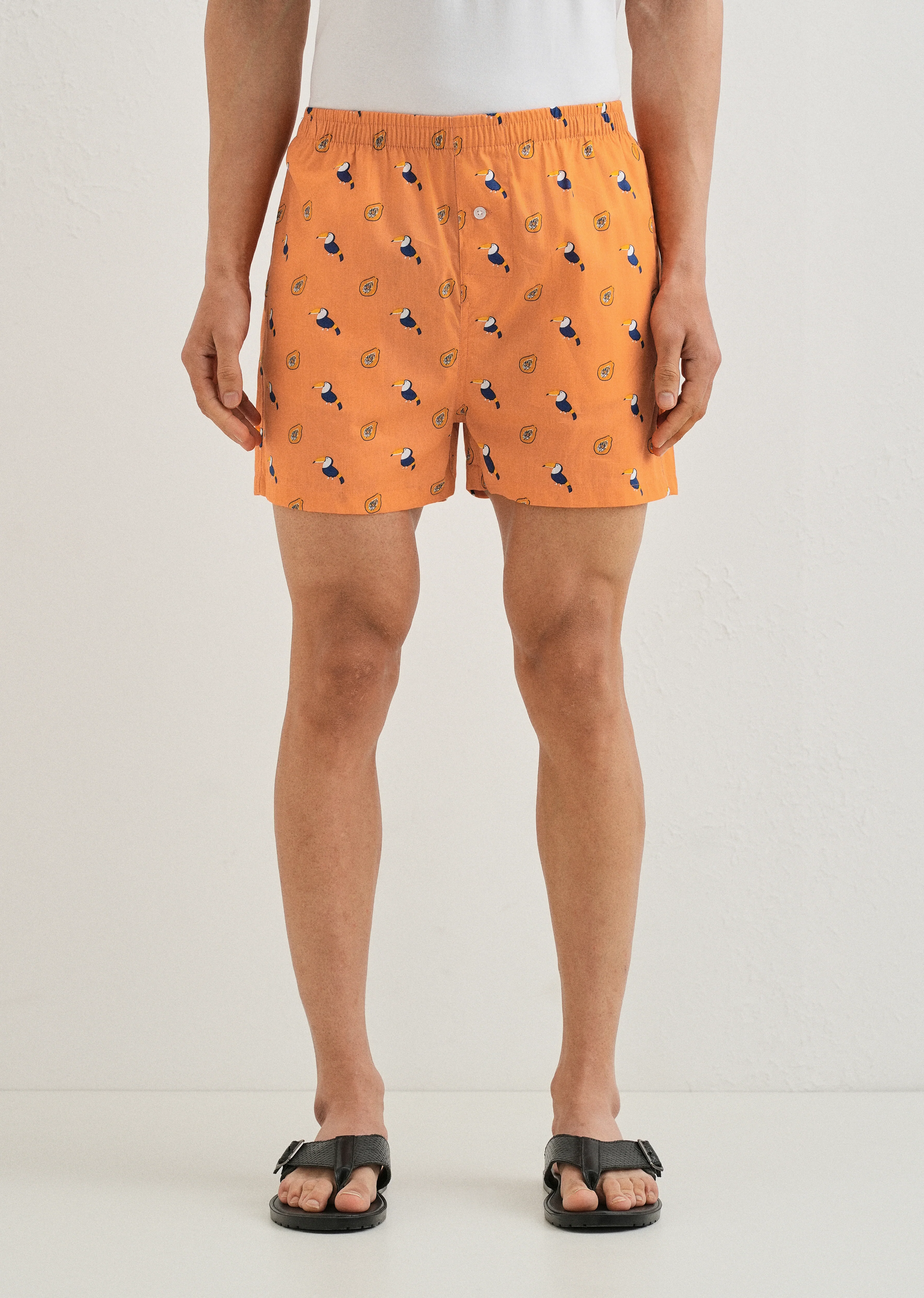 Orange Hornbill Printed Boxer - Image 4